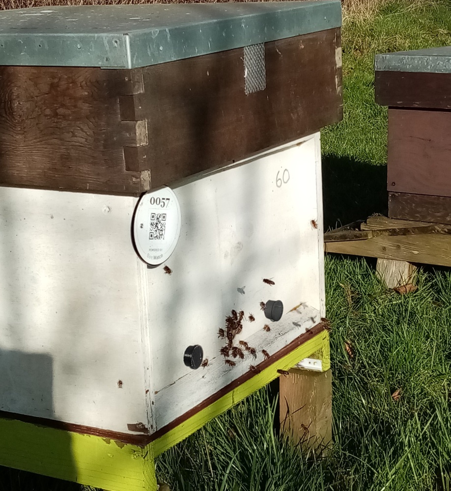 Upstairs Downstairs Beehive Modification Kits